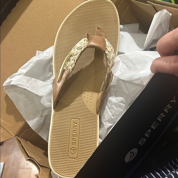 NIB Sperry Parrotfish Braided Sandal Flip Flop Thong Sandals, Flat Heel - Picture 7 of 8